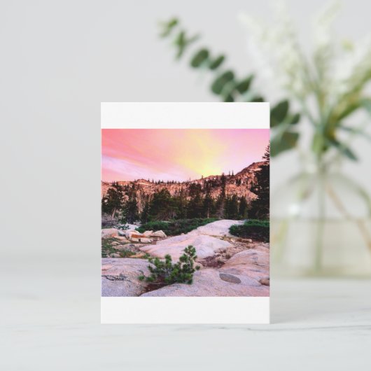 Forest Desolation Wilderness Eldorado Briefkaart (Staand voorkant)