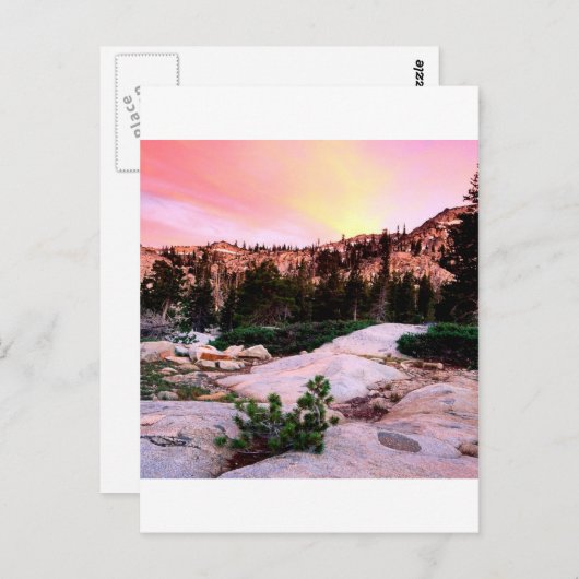 Forest Desolation Wilderness Eldorado Briefkaart (Voorkant / Achterkant)