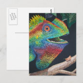 Forest Dragon Briefkaart (Voorkant / Achterkant)