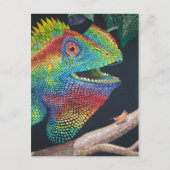 Forest Dragon Briefkaart (Voorkant)