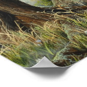 Forest Dragon - door Marc-André Huot Poster (Hoek)