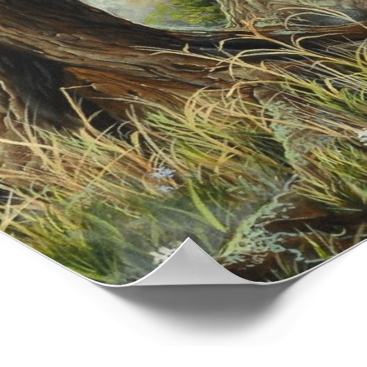 Forest Dragon - door Marc-André Huot Poster (Hoek)