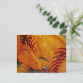 Forest Encounter-Briefkaart Briefkaart (Staand voorkant)
