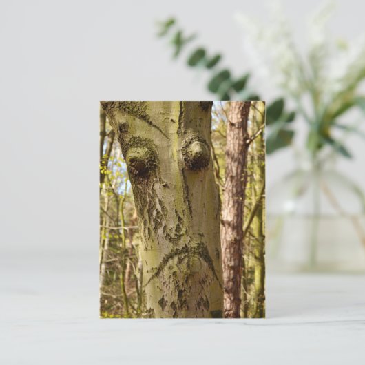 Forest Ent-briefkaart Briefkaart (Staand voorkant)