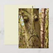 Forest Ent-briefkaart Briefkaart (Voorkant / Achterkant)