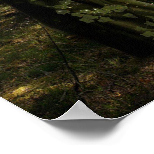 Forest Faerie Poster (Hoek)