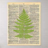 Forest Fern  dictionary page poster (Voorkant)