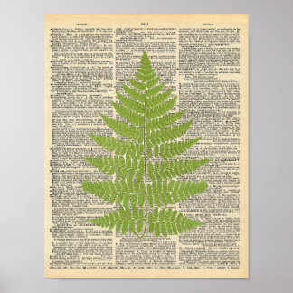 Forest Fern  dictionary page poster