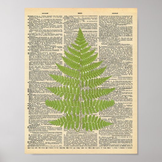 Forest Fern dictionary page poster (Voorkant)