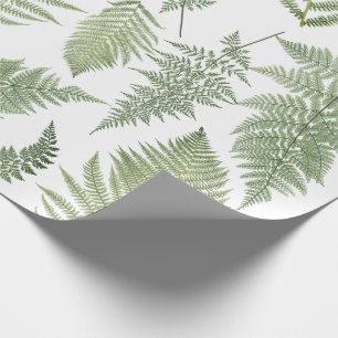Forest Fern Fronds  Greenery Botanical Cadeaupapier