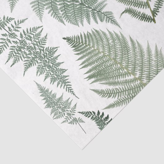 Forest Fern Fronds Greenery Botanical Tissuepapier (Detail)