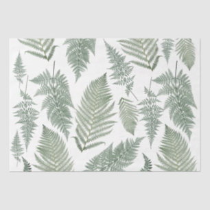 Forest Fern Fronds  Greenery Botanical Tissuepapier