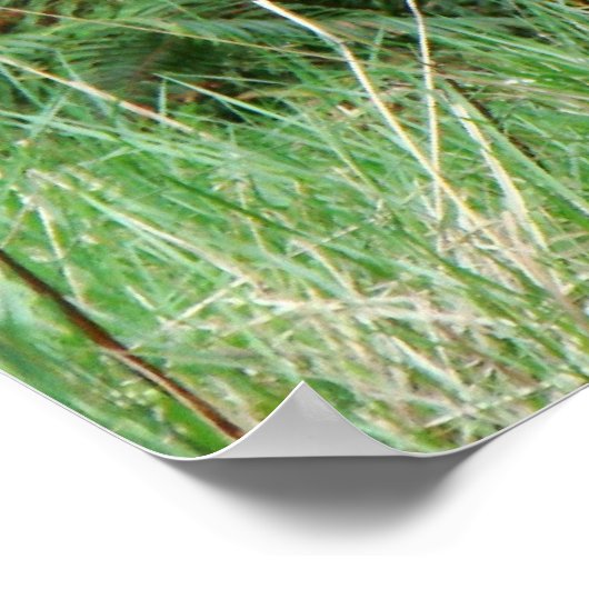 Forest Ferns geroepen door God Print (Hoek)