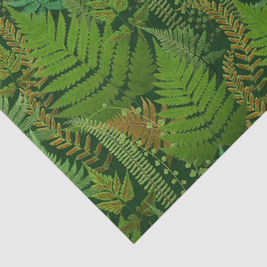 Forest Ferns Tissuepapier (Detail)