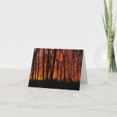 Forest Fire Sky - personaliseren! Kaart (Voorkant)
