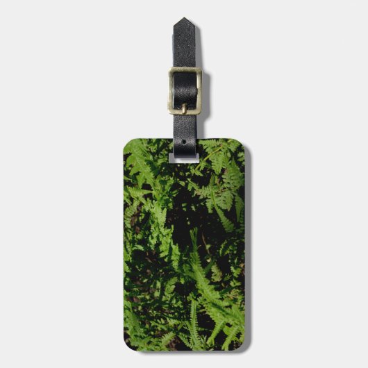 Forest Floor Ferns Bagagelabel (Voorkant verticaal)