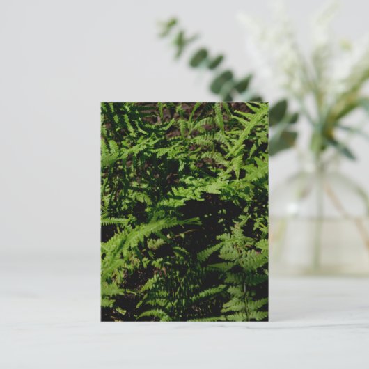 Forest Floor Ferns Briefkaart (Staand voorkant)