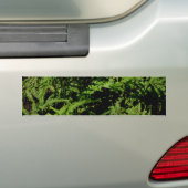 Forest Floor Ferns Bumpersticker (Op auto)