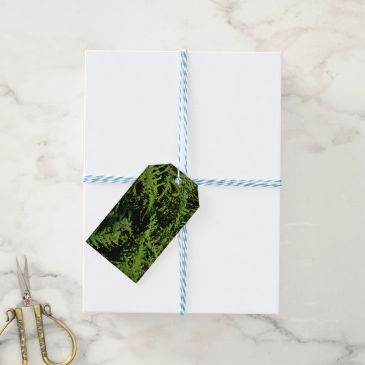 Forest Floor Ferns Cadeaulabel (Met Touw)