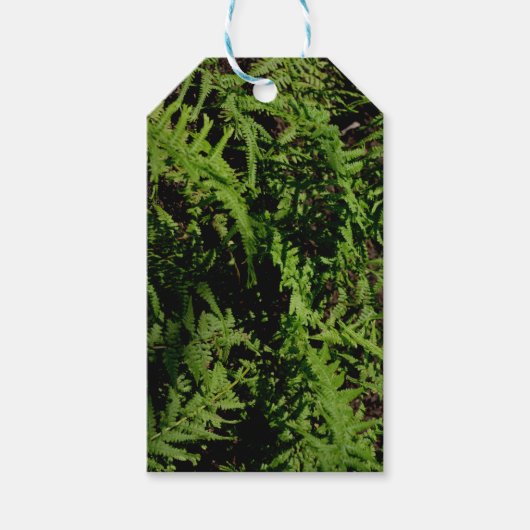 Forest Floor Ferns Cadeaulabel (Voorkant)