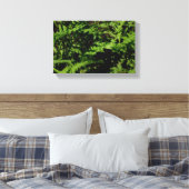 Forest Floor Ferns Canvas Afdruk (Insitu (Slaapkamer))