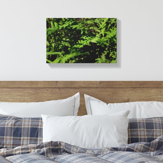 Forest Floor Ferns Canvas Afdruk (Insitu (Slaapkamer))