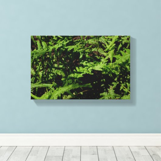 Forest Floor Ferns Canvas Afdruk (Insitu (Houten vloer))