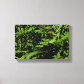 Forest Floor Ferns Canvas Afdruk (Voorkant)