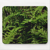 Forest Floor Ferns Muismat (Voorkant)