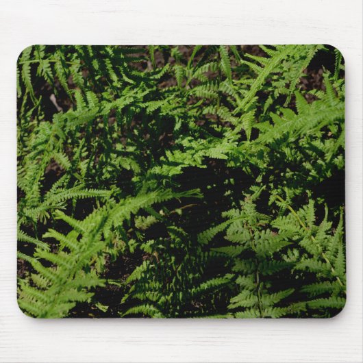 Forest Floor Ferns Muismat (Voorkant)