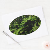 Forest Floor Ferns Ovale Sticker (Envelop)