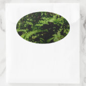 Forest Floor Ferns Ovale Sticker (Tas)