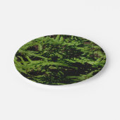 Forest Floor Ferns Papieren Bordje (Gekanteld)