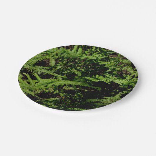 Forest Floor Ferns Papieren Bordje (Gekanteld)