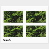 Forest Floor Ferns Rechthoekige Sticker (Vel)