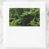 Forest Floor Ferns Rechthoekige Sticker (Tas)