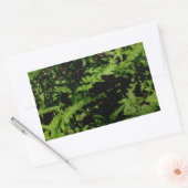 Forest Floor Ferns Rechthoekige Sticker (Envelop)