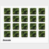 Forest Floor Ferns Vierkante Sticker (Vel)