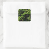Forest Floor Ferns Vierkante Sticker (Tas)