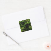 Forest Floor Ferns Vierkante Sticker (Envelop)