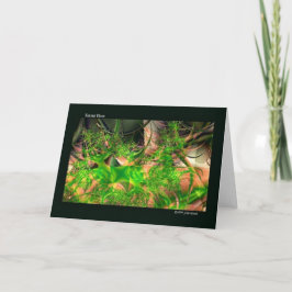 Forest Floor Fractal Art Notecards Kaart