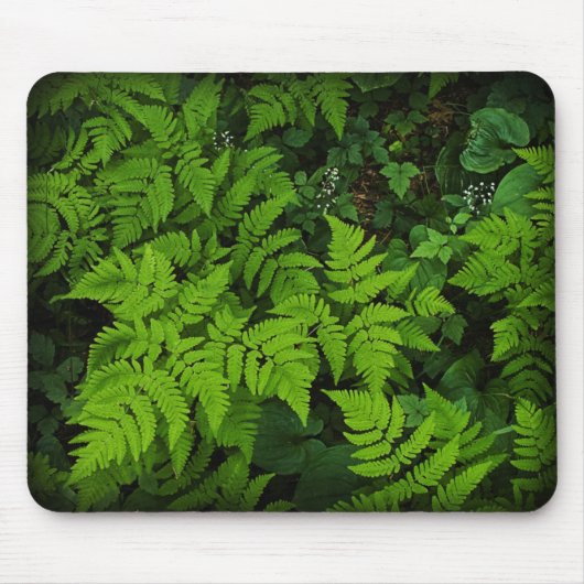 Forest Floor Mousepad Muismat (Voorkant)