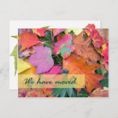 Forest Floor Nieuw adres Sjabloon (Voorkant / Achterkant)