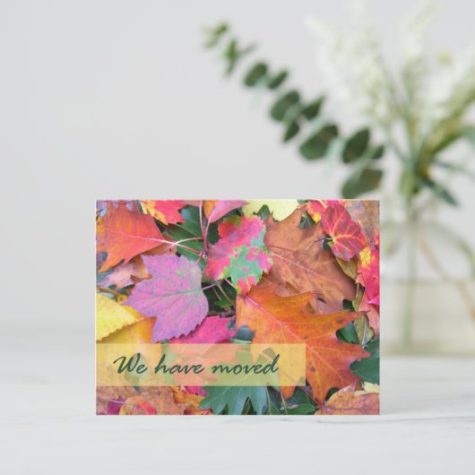 Forest Floor Nieuw adres Sjabloon (Staand voorkant)