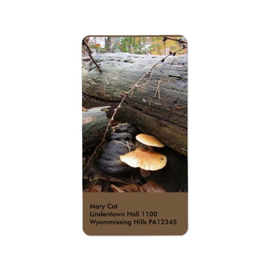 Forest Fungi #3 Etiket (Voorkant)