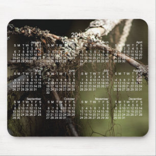 Forest Fuzz; Agenda 2013 Muismat