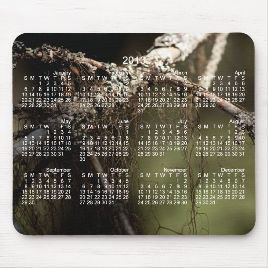 Forest Fuzz; Agenda 2013 Muismat (Voorkant)