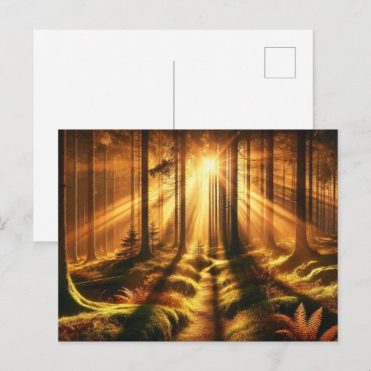 Forest Glow - Briefkaart (Voorkant / Achterkant)