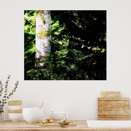 Forest Glow Poster Print (Keuken)