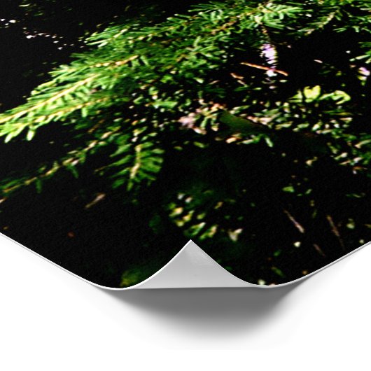 Forest Glow Poster Print (Hoek)